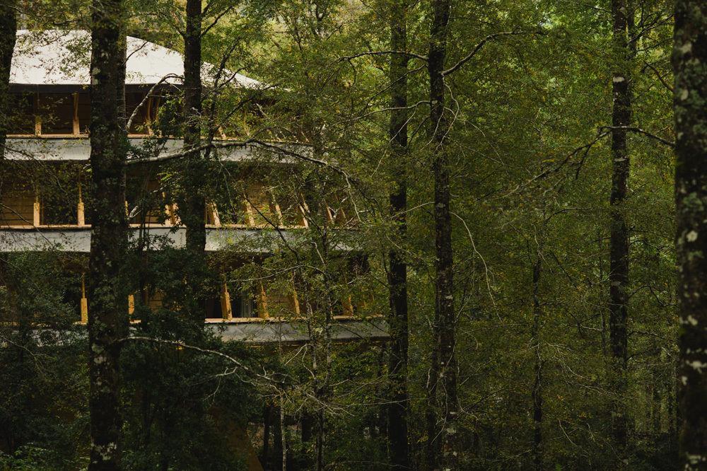 Huilo Huilo Reino Fungi Villa Puerto Fuy Exterior photo