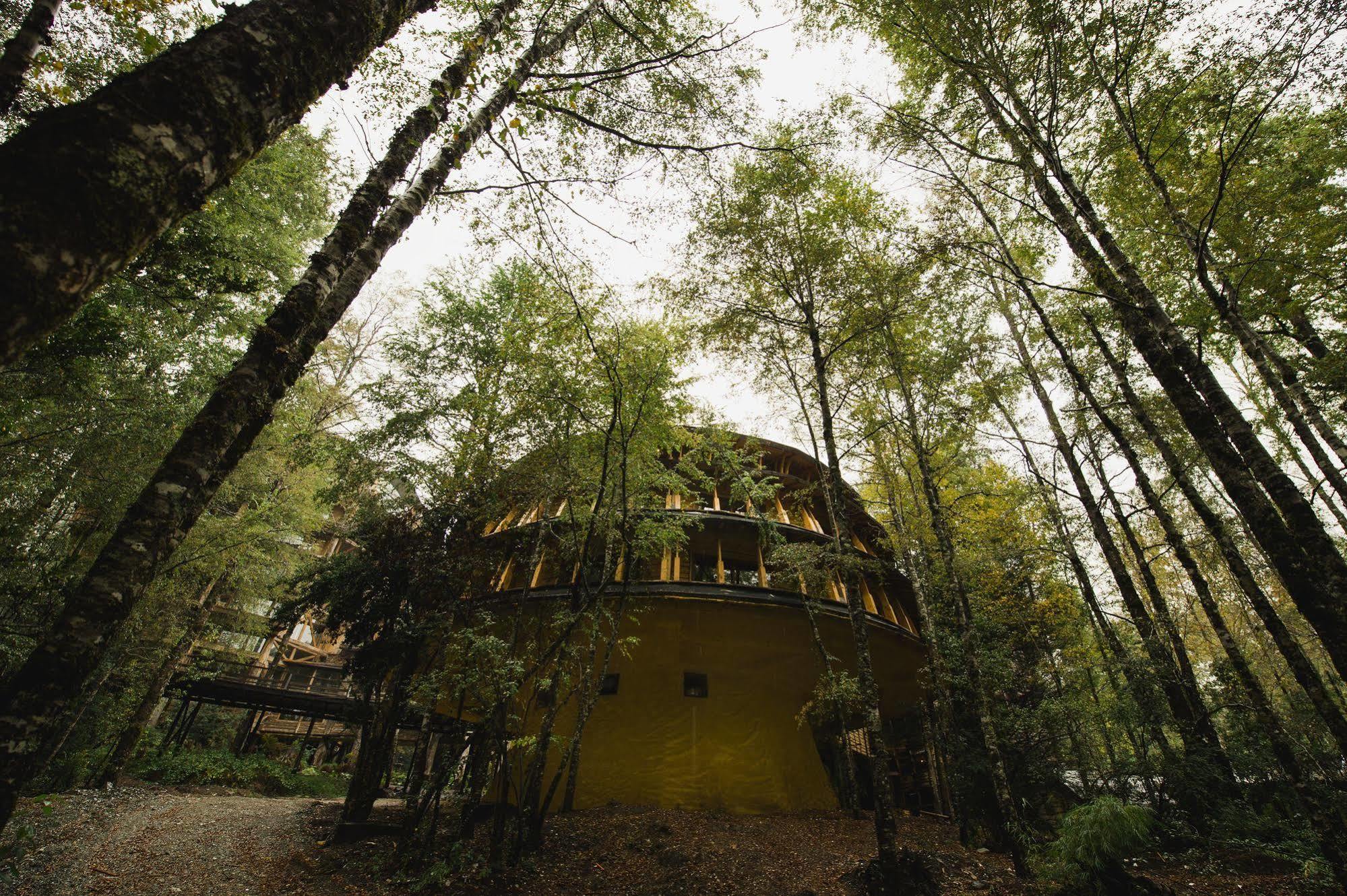 Huilo Huilo Reino Fungi Villa Puerto Fuy Exterior photo